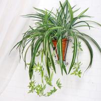 uploads/erp/collection/images/Home Garden/CongDing/XU0612257/img_b/XU0612257_img_b_1